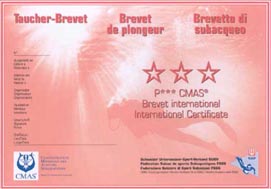 brevetp3